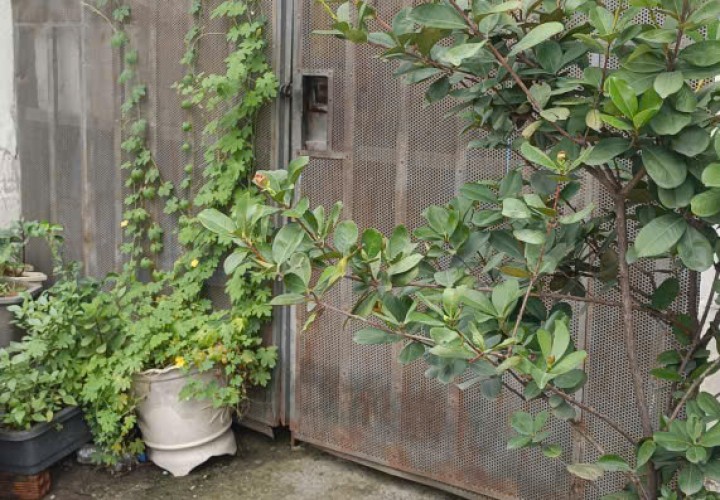 CHÍNH CHỦ Bán Nhanh Nhà Đang ở Cấp 4, Mặt Tiền Đường 6 KP 3, Phường Trường Thạnh( cũ), TP Thủ Đức