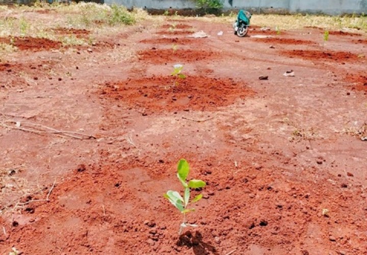 Chính Chủ  Bán Lô Đất Đẹp Tại Xã Bình Sơn , Huyện Phú Riềng T. Bình Phước