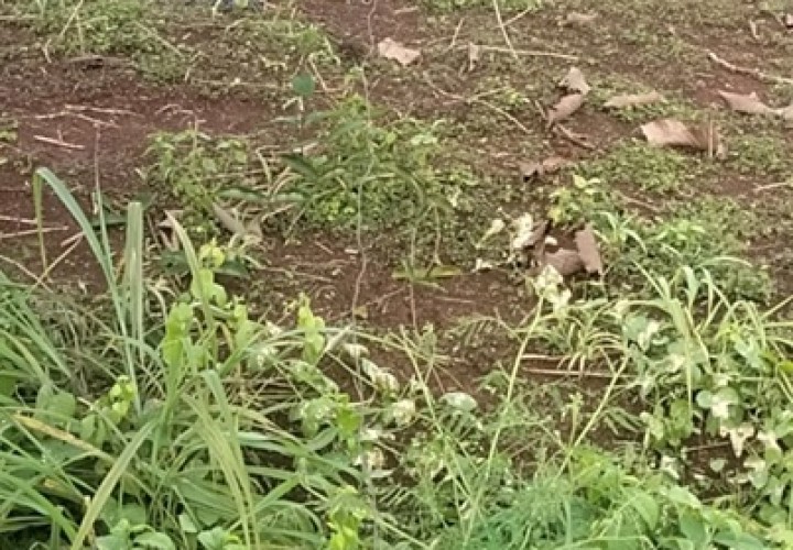 Chính Chủ  Bán Lô Đất Đẹp Tại Xã Bình Sơn , Huyện Phú Riềng T. Bình Phước