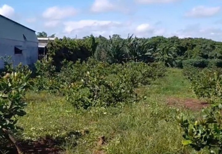 Chính Chủ  Bán Lô Đất Đẹp Tại Xã Bình Sơn , Huyện Phú Riềng T. Bình Phước