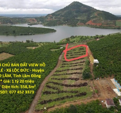 CHÍNH CHỦ BÁN ĐẤT VIEW HỒ ĐĂK LÉ - Xã LỘC ĐỨC - Huyện BẢO LÂM, Tỉnh Lâm Đồng