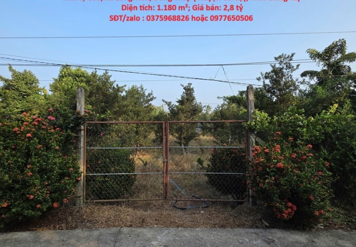 ĐẤT ĐẸP - ĐẦU TƯ SINH LỜI - CHÍNH CHỦ BÁN ĐẤT 2 Mặt Tiền Đường Tỉnh lộ 868, Xã Long Tiên, Đồng Tháp