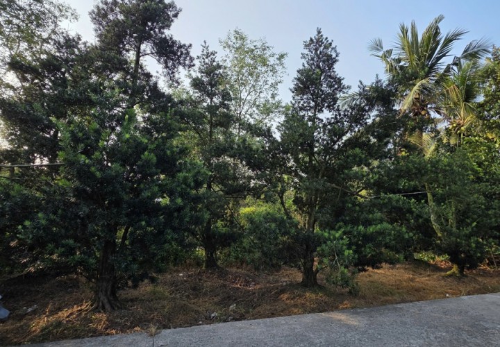 ĐẤT ĐẸP - ĐẦU TƯ SINH LỜI - CHÍNH CHỦ BÁN ĐẤT 2 Mặt Tiền Đường Tỉnh lộ 868, Xã Long Tiên, Đồng Tháp