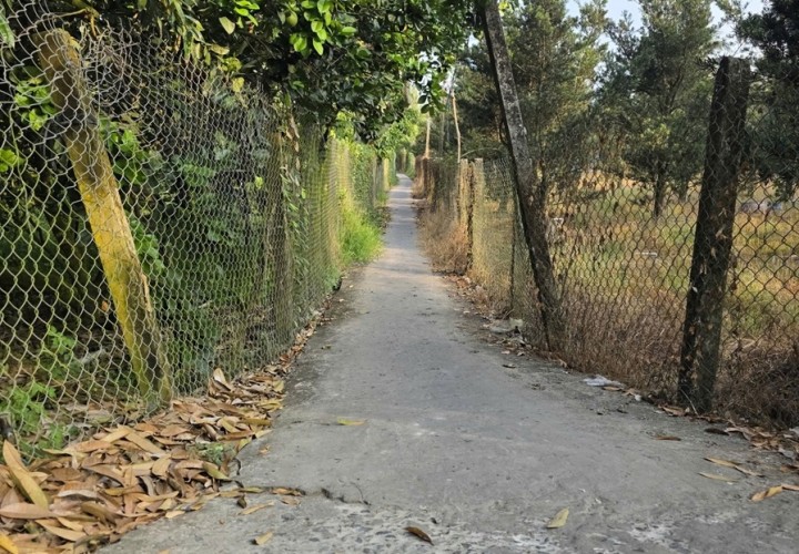 ĐẤT ĐẸP - ĐẦU TƯ SINH LỜI - CHÍNH CHỦ BÁN ĐẤT 2 Mặt Tiền Đường Tỉnh lộ 868, Xã Long Tiên, Đồng Tháp