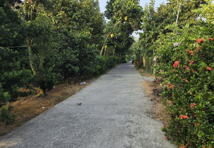 ĐẤT ĐẸP - ĐẦU TƯ SINH LỜI - CHÍNH CHỦ BÁN ĐẤT 2 Mặt Tiền Đường Tỉnh lộ 868, Xã Long Tiên, Đồng Tháp