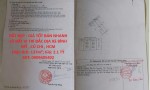 ĐẤT ĐẸP - GIÁ TỐT BÁN NHANH LÔ ĐẤT VỊ TRÍ ĐẮC ĐỊA Xã BÌNH MỸ , CỦ CHI , HCM