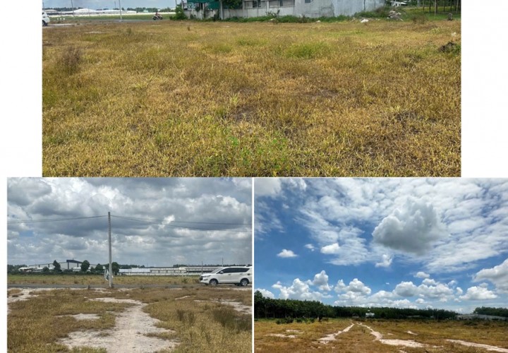 BÁN ĐẤT NỀN CHÍNH CHỦ - 2 LÔ LIỀN KỀ Tại QL13, KP2 P. Thành Tâm, TX Chơn Thành - Bình Phước