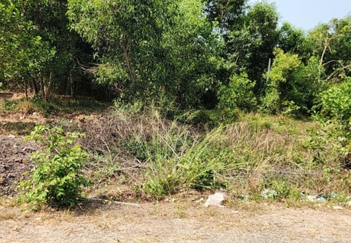 CƠ HỘI ĐẦU TƯ SINH LỜI - LÔ ĐẤT VỊ TRÍ ĐẸP TIỀM NĂNG - Gần Ngã Tư Cây Cầy - Tân Châu