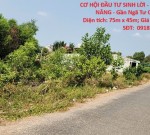 CƠ HỘI ĐẦU TƯ SINH LỜI - LÔ ĐẤT VỊ TRÍ ĐẸP TIỀM NĂNG - Gần Ngã Tư Cây Cầy - Tân Châu