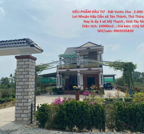 SIÊU PHẨM ĐẦU TƯ - Đất Vườn 1ha - 2.000 Cây Mai - Lợi Nhuận Hấp Dẫn xã Tân Thành, Thủ Thừa, Long An