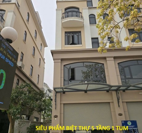 SIÊU PHẨM BIỆT THỰ 5 TẦNG 1 TUM VINHOMES OCEAN PARK 2 – LONG PHỤNG NHẤT THỂ Chỉ 2X Tỷ