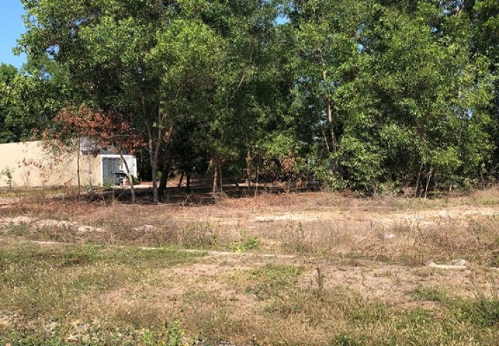 ĐẤT ĐẸP - GIÁ TỐT - Bán GẤP Lô Đất Tiềm Năng Đường Lý Chính Thắng, Phường Long Tâm, TP Bà Rịa