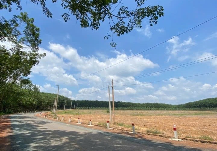 GẤP GẤP - TÔI -  CHÍNH CHỦ CẦN BÁN GẤP LÔ ĐẤT GIÁ SIÊU TỐT Vị Trí Tại Huyện Đồng Phú, Tỉnh Bình Phước