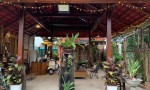 CẦN CHUYỂN NƠI Ở, ĐỊNH CƯ – BÁN NHÀ Tại NAM CHÍNH, ĐỨC LINH, BÌNH THUẬN