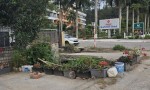 Chính chủ Bán nhà mặt tiền Lý Thái Tổ Đồ Sơn – gần biển Đồi Rồng – 65m2 –  3.3 tỷ – kinh doanh tốt