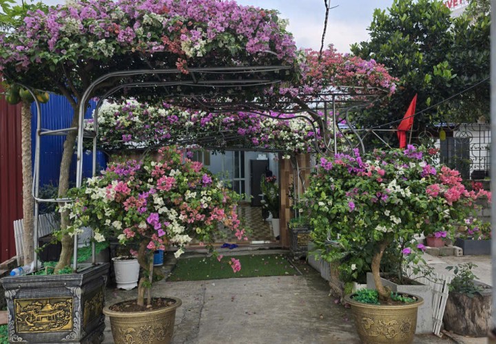 Chính chủ Bán nhà mặt tiền Lý Thái Tổ Đồ Sơn – gần biển Đồi Rồng – 65m2 –  3.3 tỷ – kinh doanh tốt