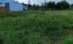 ĐẤT ĐẸP – GIÁ TỐT – CHÍNH CHỦ CẦN BÁN NHANH LÔ ĐẤT LIỀN KỀ TẠI huyện Thủ Thừa tỉnh Long An