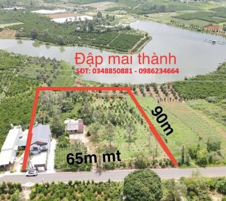 ĐẤT ĐẸP –GIÁ TỐT –CHÍNH CHỦ CẦN BÁN ĐẤT TẶNG NHÀ Đường Lê Thị Riêng, P. 3, TP. Bảo Lộc, Lâm Đồng