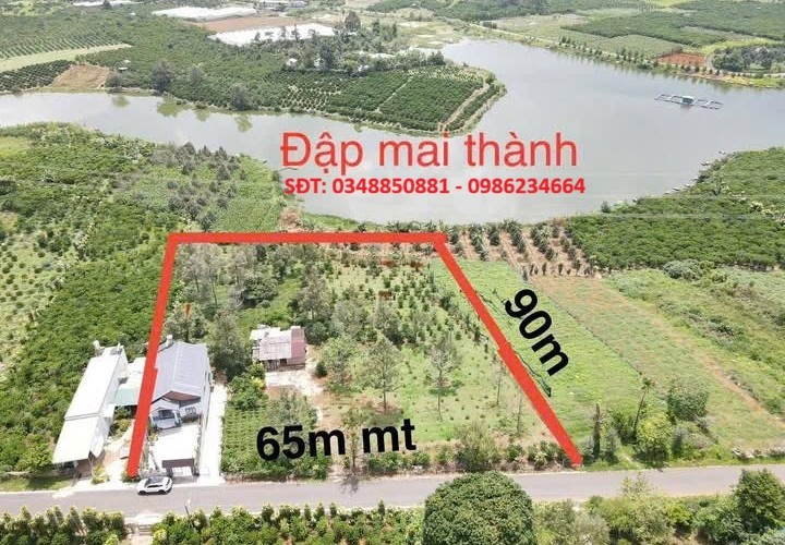 ĐẤT ĐẸP –GIÁ TỐT –CHÍNH CHỦ CẦN BÁN ĐẤT TẶNG NHÀ Đường Lê Thị Riêng, P. 3, TP. Bảo Lộc, Lâm Đồng