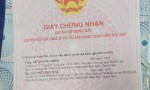 CHÍNH CHỦ BÁN NHÀ & ĐẤT SẦM SƠN – GIÁ ĐẦU TƯ Tại Đường Ngô Văn Sở, P. Bắc Sơn, TP. Sầm Sơn, Thanh Hóa