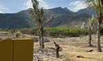 ĐẤT ĐẸP - GIÁ TỐT CHÍNH CHỦ BÁN ĐẤT XÃ LÂM SƠN,  NINH SƠN -NINH THUẬN (Cũ)