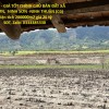 ĐẤT ĐẸP - GIÁ TỐT CHÍNH CHỦ BÁN ĐẤT XÃ LÂM SƠN,  NINH SƠN -NINH THUẬN (Cũ)