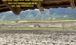 ĐẤT ĐẸP - GIÁ TỐT CHÍNH CHỦ BÁN ĐẤT XÃ LÂM SƠN,  NINH SƠN -NINH THUẬN (Cũ)