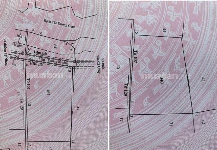 ĐẤT ĐẸP – GIÁ TỐT – CHÍNH CHỦ CẦN BÁN LÔ ĐẤT LIỀN KỀ ( ĐẤT AO) Xã An Thới Đông, Cần Giờ, TP. HCM