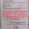 ĐẤT ĐẸP – GIÁ TỐT – CHÍNH CHỦ CẦN BÁN LÔ ĐẤT LIỀN KỀ ( ĐẤT AO) Xã An Thới Đông, Cần Giờ, TP. HCM