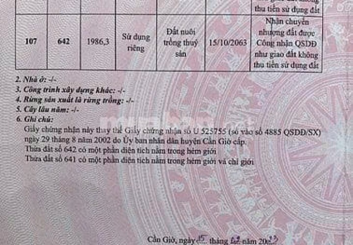 ĐẤT ĐẸP – GIÁ TỐT – CHÍNH CHỦ CẦN BÁN LÔ ĐẤT LIỀN KỀ ( ĐẤT AO) Xã An Thới Đông, Cần Giờ, TP. HCM