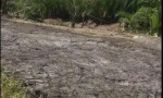 ĐẤT ĐẸP – GIÁ TỐT – CHÍNH CHỦ CẦN BÁN LÔ ĐẤT LIỀN KỀ ( ĐẤT AO) Xã An Thới Đông, Cần Giờ, TP. HCM