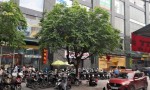 NHÀ VỊ TRÍ ĐẸP - Chính Chủ Bán Nhà 4 Tầng Mặt Phố Lý Thường Kiệt, Phường Hạc Thành , Tỉnh Thanh Hóa.