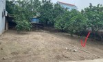 ĐẤT CHÍNH CHỦ - THỔ CƯ 100% Hàng F0 Đan Kim, Xã Liên Nghĩa, Huyện Văn Giang, Hưng Yên