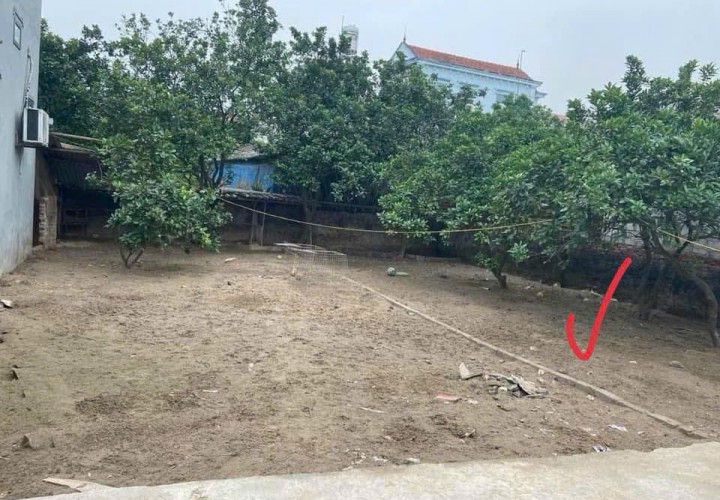ĐẤT CHÍNH CHỦ - THỔ CƯ 100% Hàng F0 Đan Kim, Xã Liên Nghĩa, Huyện Văn Giang, Hưng Yên