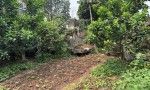 VỊ TRÍ ĐẸP - ĐẦU TƯ SINH LỜI - Chính Chủ Bán Lô Đất Tiềm Năng Phố Hoàng Văn Thụ, Xã Vân Đình, Hà Nội