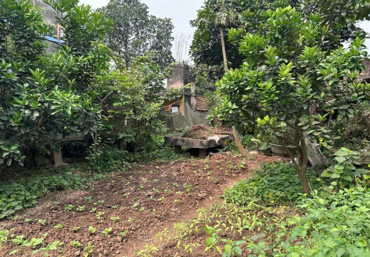 VỊ TRÍ ĐẸP - ĐẦU TƯ SINH LỜI - Chính Chủ Bán Lô Đất Tiềm Năng Phố Hoàng Văn Thụ, Xã Vân Đình, Hà Nội
