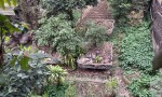 VỊ TRÍ ĐẸP - ĐẦU TƯ SINH LỜI - Chính Chủ Bán Lô Đất Tiềm Năng Phố Hoàng Văn Thụ, Xã Vân Đình, Hà Nội