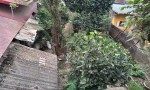 VỊ TRÍ ĐẸP - ĐẦU TƯ SINH LỜI - Chính Chủ Bán Lô Đất Tiềm Năng Phố Hoàng Văn Thụ, Xã Vân Đình, Hà Nội