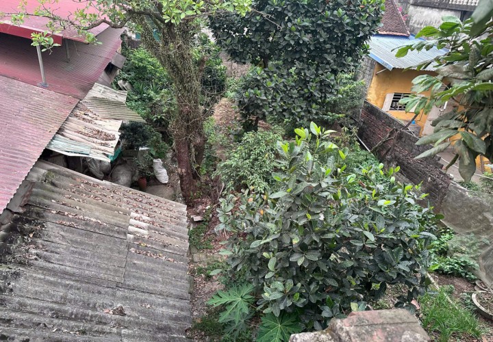 VỊ TRÍ ĐẸP - ĐẦU TƯ SINH LỜI - Chính Chủ Bán Lô Đất Tiềm Năng Phố Hoàng Văn Thụ, Xã Vân Đình, Hà Nội