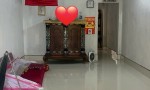 ĐẤT  ĐẸP – GIÁ TỐT  – CHÍNH CHỦ CẦN BÁN GẤP ĐẤT Tại Khu phố Cầu Xây, thị trấn thủ thừa, thủ thừa, long an