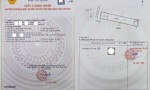 NHÀ PHỐ VEN SÔNG – KDC PHÚ LỢI QUẬN 8 – 4x24m – GIÁ 7,9 TỶ