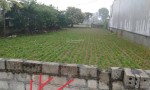 ĐẤT ĐẸP – GIÁ ĐẦU TƯ –CHÍNH CHỦ CẦN BÁN LÔ ĐẤT Thôn Phú Thịnh, Xã Hải Lĩnh, TX.Nghi Sơn, Thanh Hóa