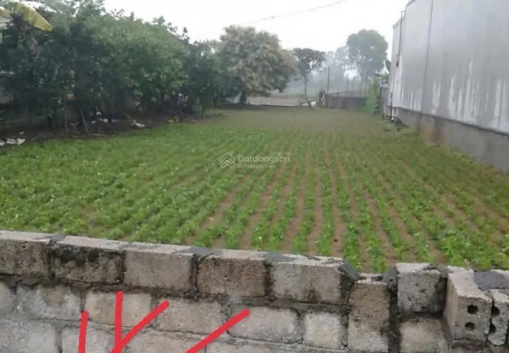 ĐẤT ĐẸP – GIÁ ĐẦU TƯ –CHÍNH CHỦ CẦN BÁN LÔ ĐẤT Thôn Phú Thịnh, Xã Hải Lĩnh, TX.Nghi Sơn, Thanh Hóa