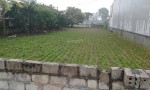 ĐẤT ĐẸP – GIÁ ĐẦU TƯ –CHÍNH CHỦ CẦN BÁN LÔ ĐẤT Thôn Phú Thịnh, Xã Hải Lĩnh, TX.Nghi Sơn, Thanh Hóa