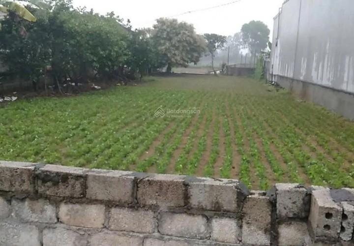 ĐẤT ĐẸP – GIÁ ĐẦU TƯ –CHÍNH CHỦ CẦN BÁN LÔ ĐẤT Thôn Phú Thịnh, Xã Hải Lĩnh, TX.Nghi Sơn, Thanh Hóa