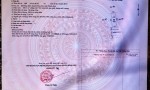 ĐẤT ĐẸP – GIÁ TỐT – CHÍNH CHỦ CẦN BÁN ĐẤT TẠI Xã Đông Khê, Huyện Đông Sơn, Thanh Hóa