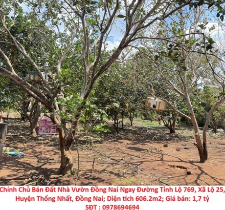 Chính Chủ Bán Đất Nhà Vườn Đồng Nai Ngay Đường Tỉnh Lộ 769, Xã Lộ 25, Huyện Thống Nhất, Đồng Nai