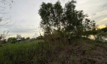 ĐẤT ĐẸP - GIÁ TỐT - Chính Chủ Bán Lô Đất Tiềm Năng Tại Kinh Phèn, Hưng Mỹ, Cà Mau