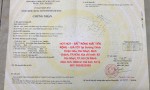 HOT HOT – ĐẤT TRỐNG MẶT TIỀN RỘNG – GIÁ TỐT Tại Đường Thích Thiện Hòa, Tân Nhựt, Bình Chánh, TP.HCM
