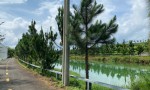 GIÁ SIÊU HẤP DẪN- CHÍNH CHỦ CẦN BÁN NHANH 2 LÔ ĐẤT LIỀN KỀ  Vị Trí Tại Phường 2, TP Bảo Lộc, Tỉnh Lâm Đồng